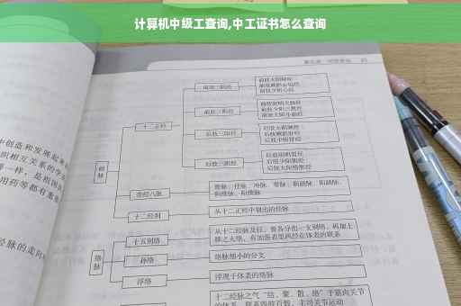 计算机中级工查询,中工证书怎么查询