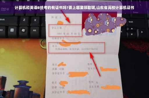 计算机和英语B统考的有证书吗?要上哪里领取呢,山东省高校计算机证书