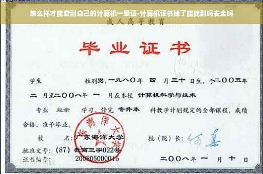 怎么样才能查到自己的计算机一级证-计算机证书掉了能找到吗安全吗