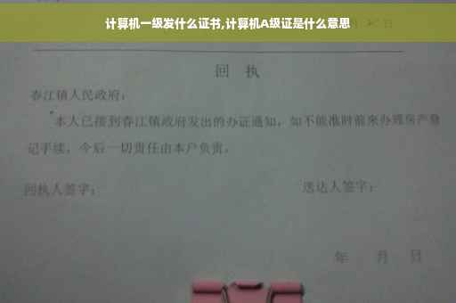 计算机一级发什么证书,计算机A级证是什么意思