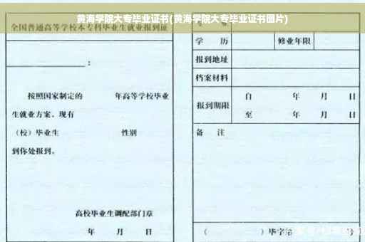 黄海学院大专毕业证书(黄海学院大专毕业证书图片)