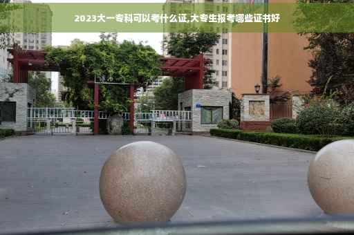 2023大一专科可以考什么证,大专生报考哪些证书好