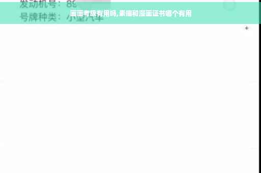 画画考级有用吗,素描和漫画证书哪个有用