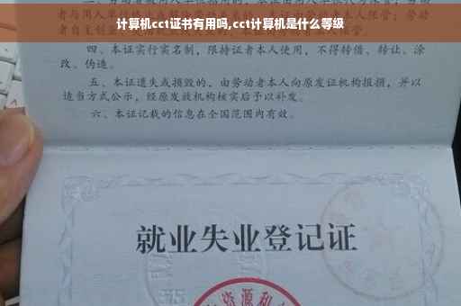 计算机cct证书有用吗,cct计算机是什么等级