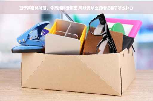 寄于高唐休咏赋，今宵端得云雨来,驾驶员从业资格证丢了怎么补办
