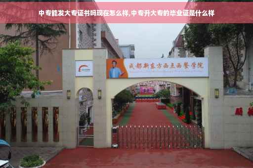 中专能发大专证书吗现在怎么样,中专升大专的毕业证是什么样