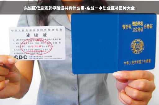 东城区信息素养学院证书有什么用-东城一中毕业证书图片大全