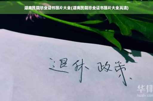 湖南民院毕业证书图片大全(湖南民院毕业证书图片大全高清)