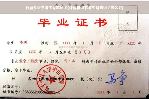计算机证书考生号忘记了(计算机证书考生号忘记了怎么办)