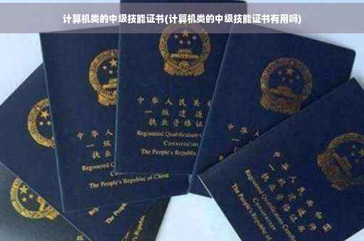 计算机类的中级技能证书(计算机类的中级技能证书有用吗)