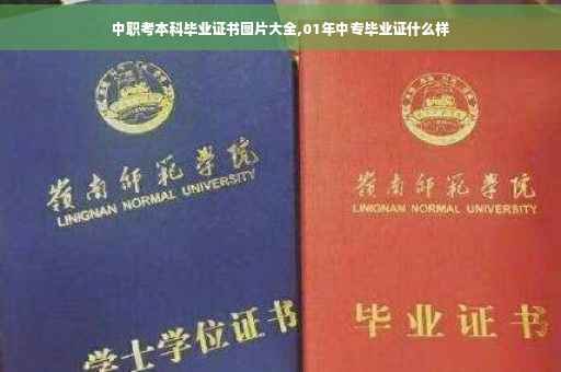 中职考本科毕业证书图片大全,01年中专毕业证什么样