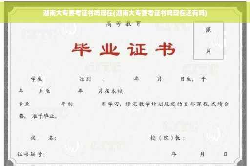 湖南大专要考证书吗现在(湖南大专要考证书吗现在还有吗)