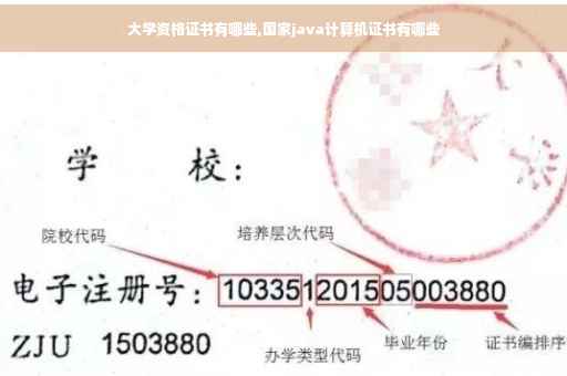 大学资格证书有哪些,国家java计算机证书有哪些