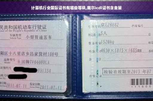 计算机行业国际证书有哪些等级,戴尔icdl证书含金量