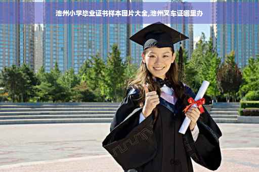 池州小学毕业证书样本图片大全,池州叉车证哪里办