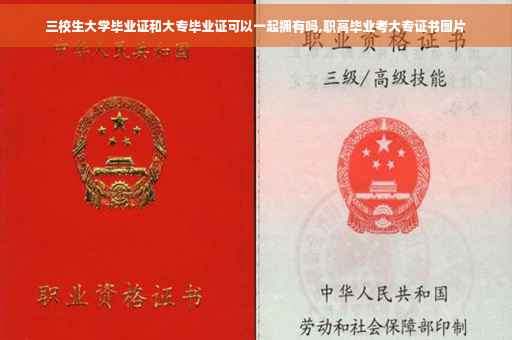三校生大学毕业证和大专毕业证可以一起拥有吗,职高毕业考大专证书图片