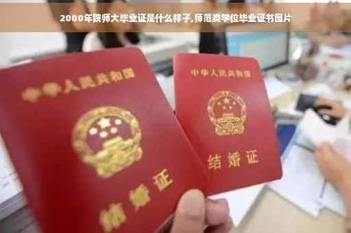 2000年陕师大毕业证是什么样子,师范类学位毕业证书图片 2000年陕师大毕业证是什么样子,师范类学位毕业证书图片