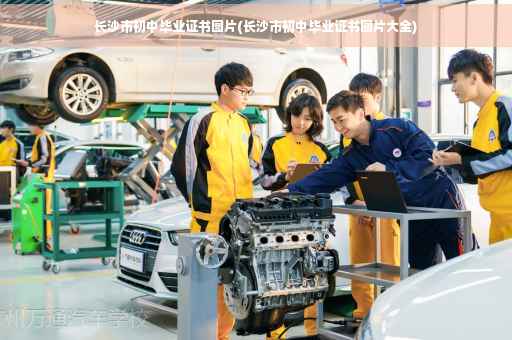 长沙市初中毕业证书图片(长沙市初中毕业证书图片大全)