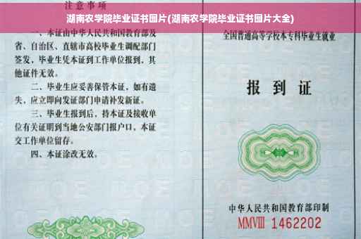 湖南农学院毕业证书图片(湖南农学院毕业证书图片大全)