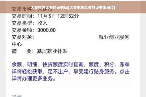 大专生怎么考的证书呢(大专生怎么考的证书呢图片)