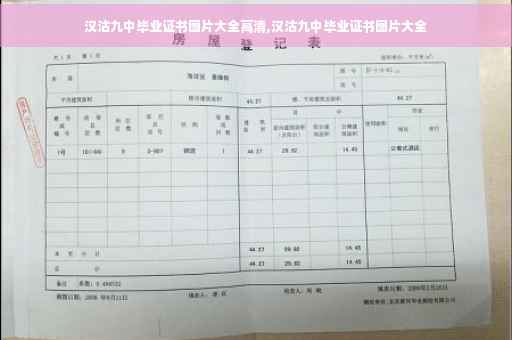 汉沽九中毕业证书图片大全高清,汉沽九中毕业证书图片大全