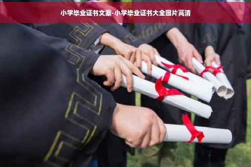 小学毕业证书文案-小学毕业证书大全图片高清