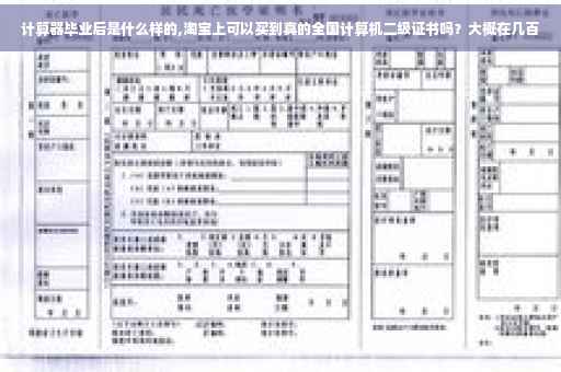 计算器毕业后是什么样的,淘宝上可以买到真的全国计算机二级证书吗？大概在几百