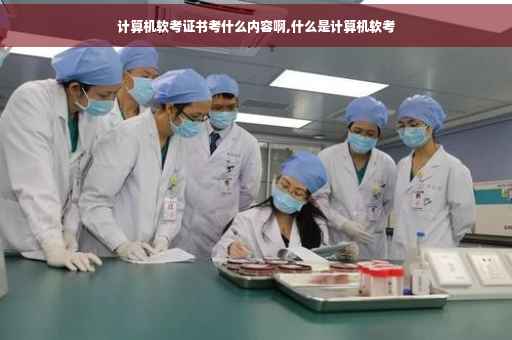计算机软考证书考什么内容啊,什么是计算机软考