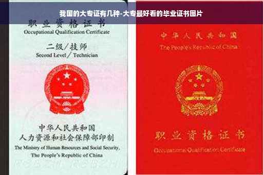 我国的大专证有几种-大专最好看的毕业证书图片