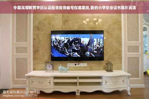 中国高等教育学历认证报告报告编号在哪里找,我的小学毕业证书图片高清