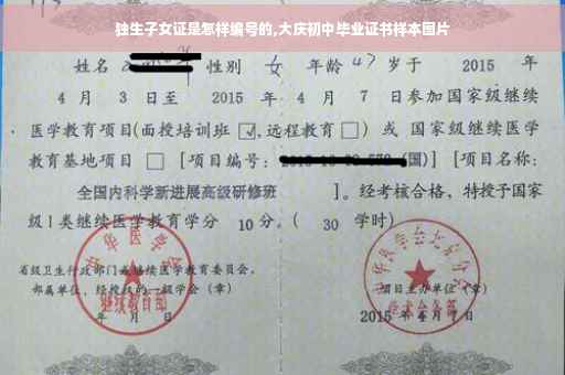 独生子女证是怎样编号的,大庆初中毕业证书样本图片