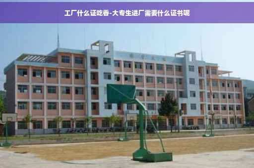 工厂什么证吃香-大专生进厂需要什么证书呢
