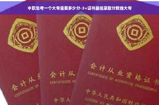中职生考一个大专需要多少分-3+证书最低录取分数线大专