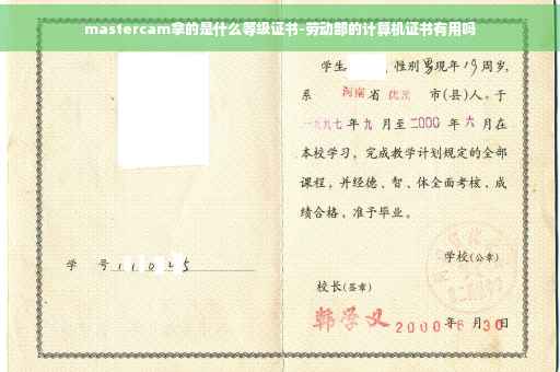 mastercam拿的是什么等级证书-劳动部的计算机证书有用吗