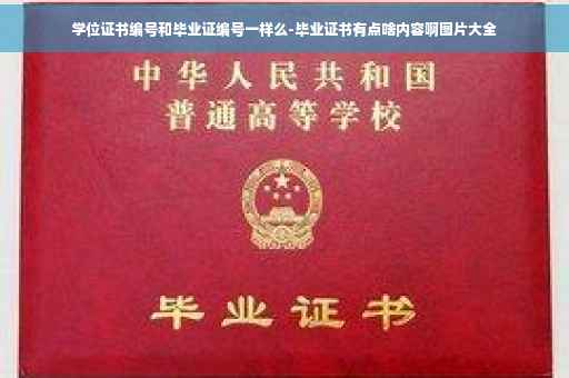 学位证书编号和毕业证编号一样么-毕业证书有点啥内容啊图片大全