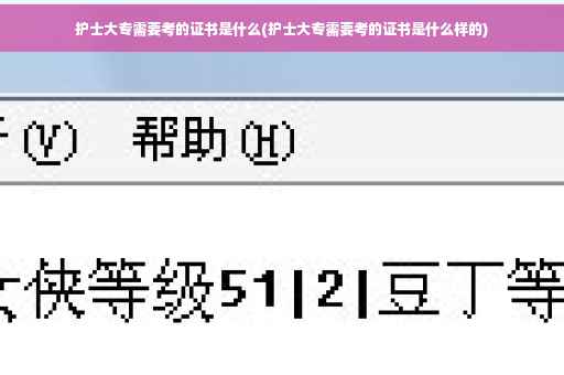 护士大专需要考的证书是什么(护士大专需要考的证书是什么样的)