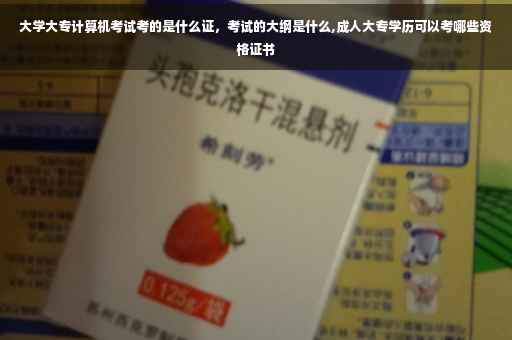 大学大专计算机考试考的是什么证，考试的大纲是什么,成人大专学历可以考哪些资格证书