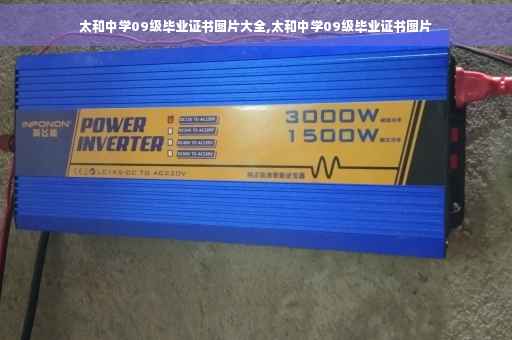 太和中学09级毕业证书图片大全,太和中学09级毕业证书图片