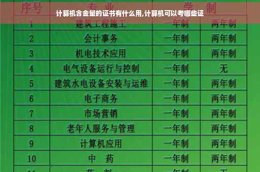 计算机含金量的证书有什么用,计算机可以考哪些证