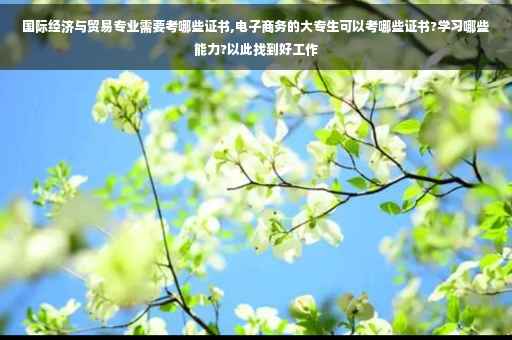 国际经济与贸易专业需要考哪些证书,电子商务的大专生可以考哪些证书?学习哪些能力?以此找到好工作