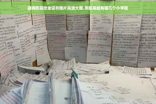 湖南民院毕业证书图片高清大图,岳阳县城有哪几个小学校
