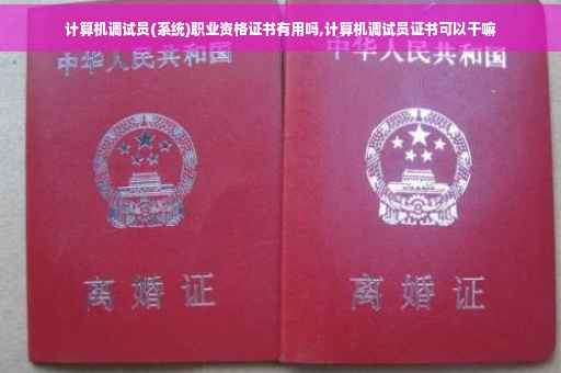 计算机调试员(系统)职业资格证书有用吗,计算机调试员证书可以干嘛