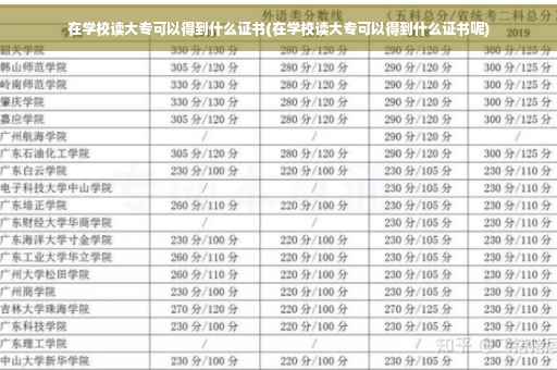 在学校读大专可以得到什么证书(在学校读大专可以得到什么证书呢)
