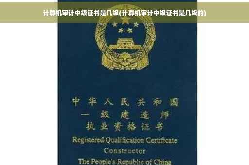 计算机审计中级证书是几级(计算机审计中级证书是几级的)