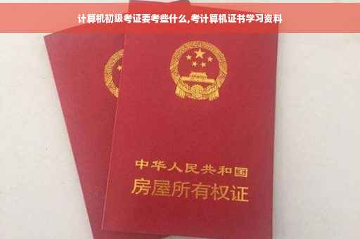 计算机初级考证要考些什么,考计算机证书学习资料