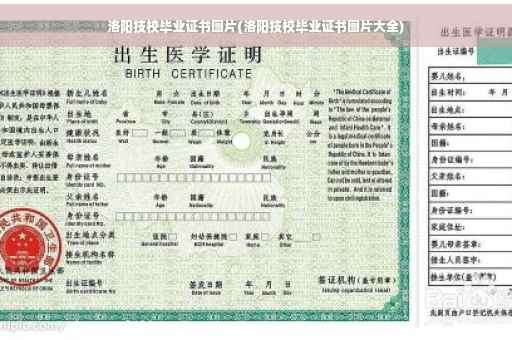 洛阳技校毕业证书图片(洛阳技校毕业证书图片大全)