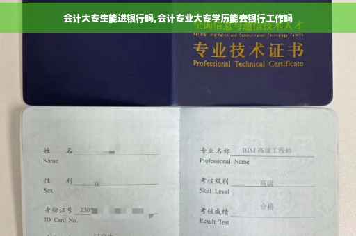 会计大专生能进银行吗,会计专业大专学历能去银行工作吗