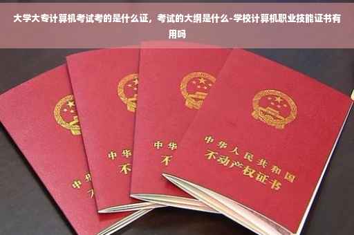 大学大专计算机考试考的是什么证，考试的大纲是什么-学校计算机职业技能证书有用吗