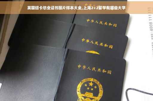 英国纽卡毕业证书图片样本大全,上海2+2留学有哪些大学
