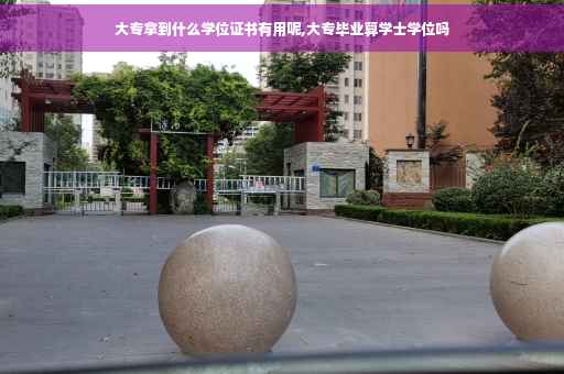 大专拿到什么学位证书有用呢,大专毕业算学士学位吗